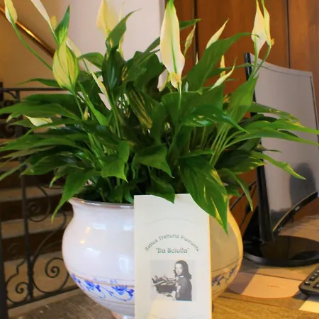 Piemonte Da Sciolla 3*